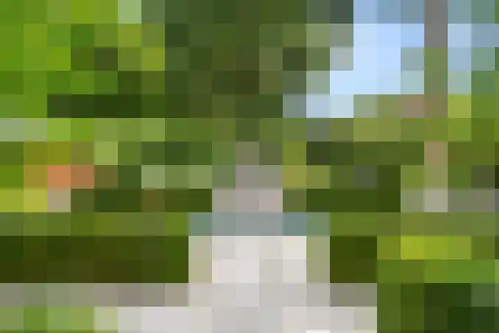Hullenberglaan 9 Bennekom thumbnail 35