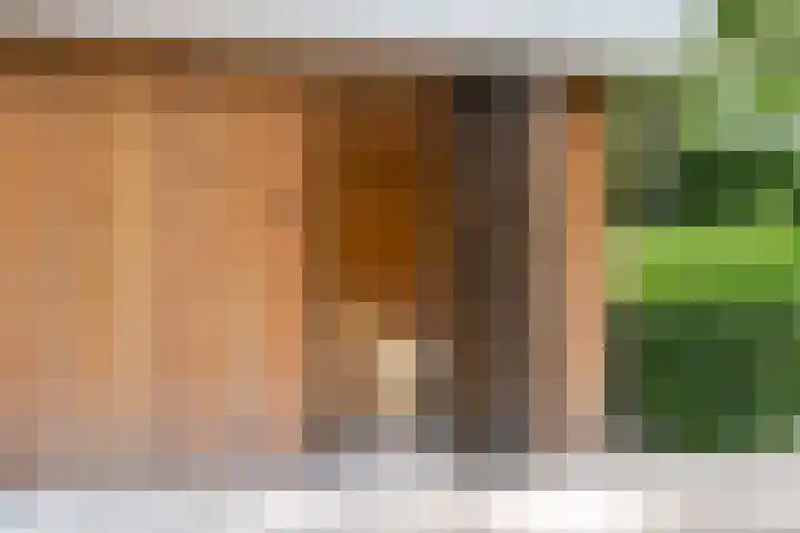 Hullenberglaan 9 Bennekom thumbnail 38