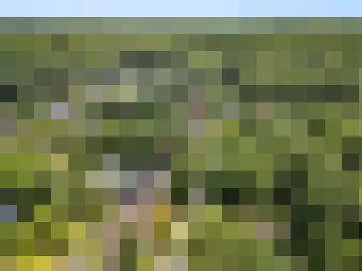 Hullenberglaan 9 Bennekom thumbnail 4
