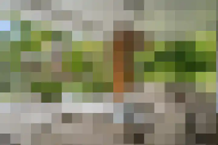 Hullenberglaan 9 Bennekom thumbnail 45