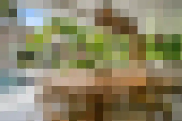 Hullenberglaan 9 Bennekom thumbnail 46