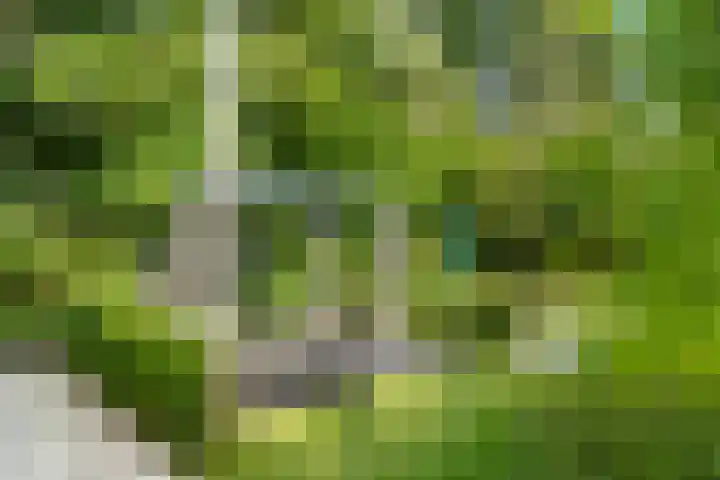 Hullenberglaan 9 Bennekom thumbnail 47