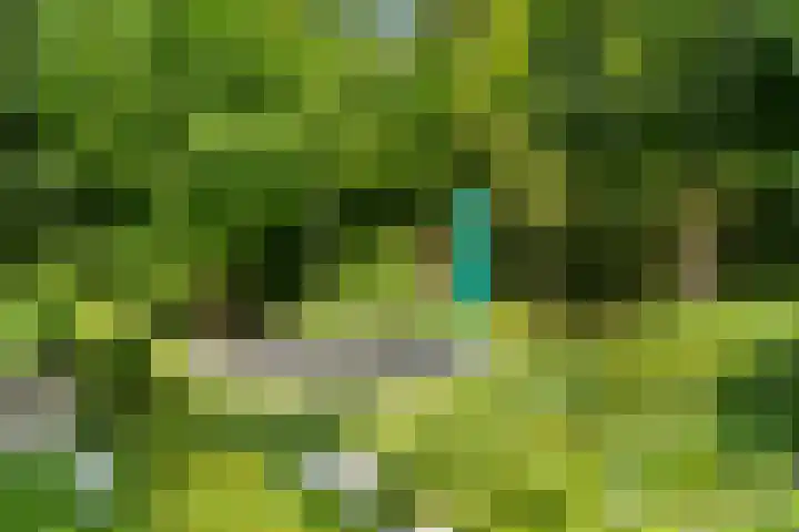 Hullenberglaan 9 Bennekom thumbnail 48