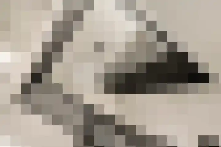Hullenberglaan 9 Bennekom thumbnail 52