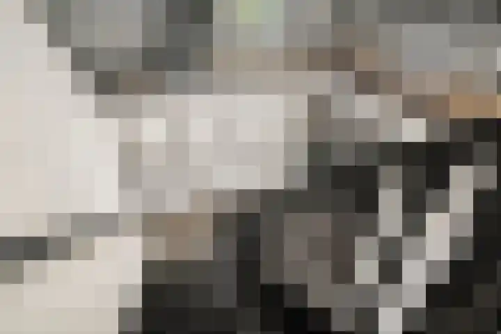 Hullenberglaan 9 Bennekom thumbnail 75