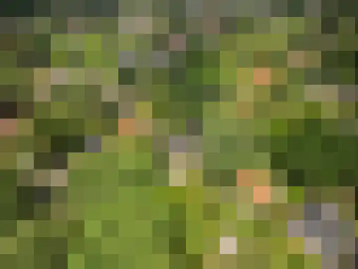 Hullenberglaan 9 Bennekom thumbnail 9