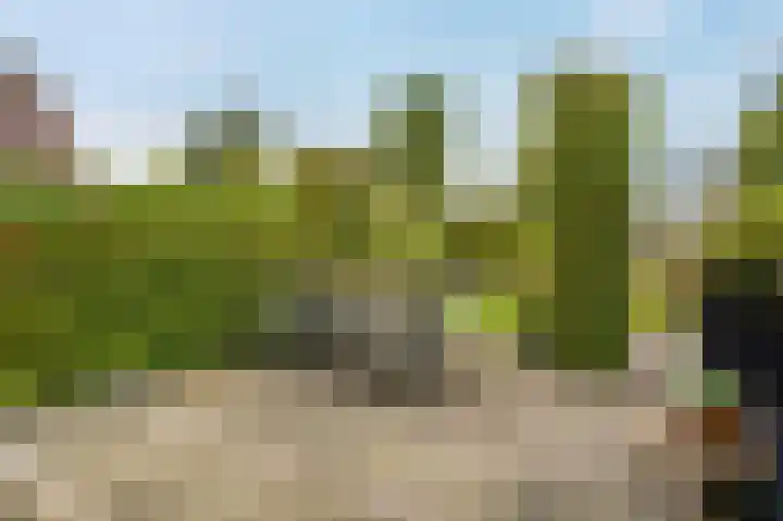 Hullenweg 31 Roden thumbnail 29