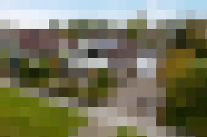 Hullenweg 31 Roden thumbnail 57