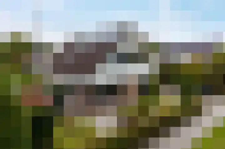 Hullenweg 31 Roden thumbnail 58