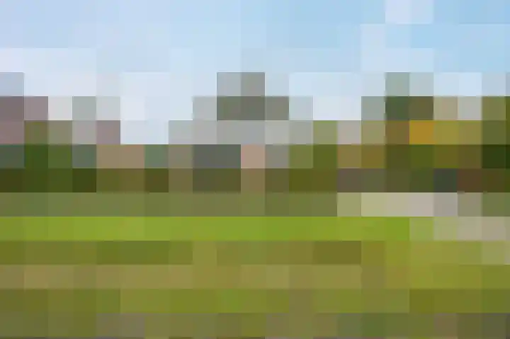 Hullenweg 31 Roden thumbnail 6
