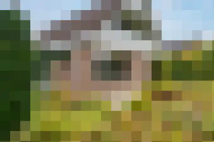 Hullenweg 31 Roden thumbnail 7