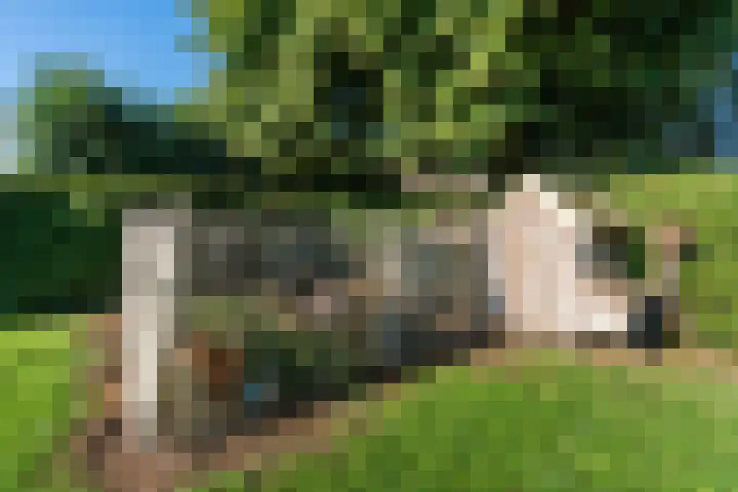 Hullenweg 7 Wapenveld thumbnail 38