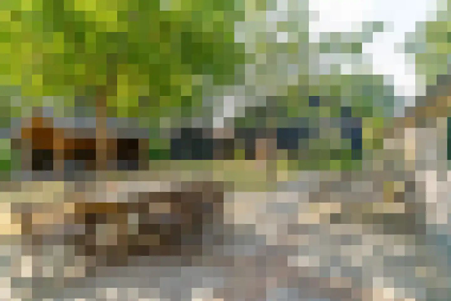 Hullerweg 54 Nunspeet thumbnail 56
