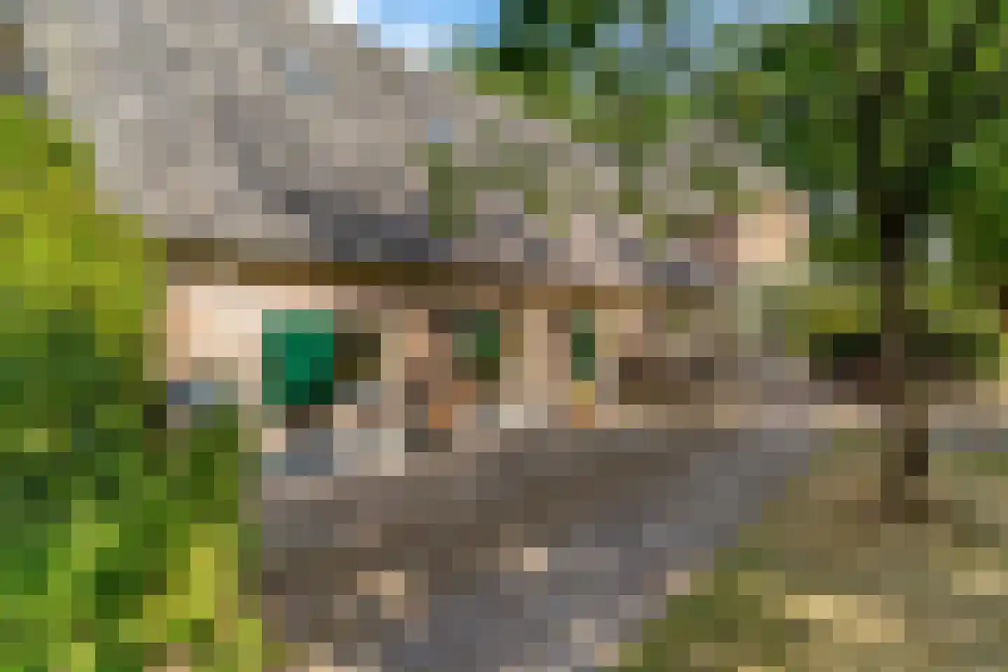 Hullerweg 54 Nunspeet thumbnail 61