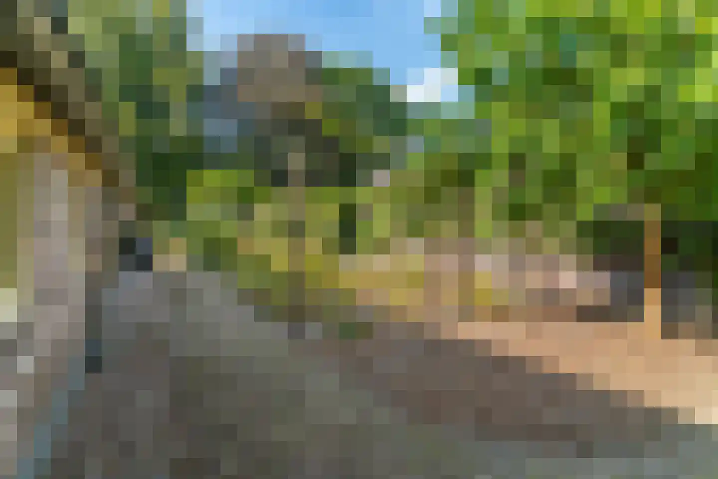 Hullerweg 54 Nunspeet thumbnail 62