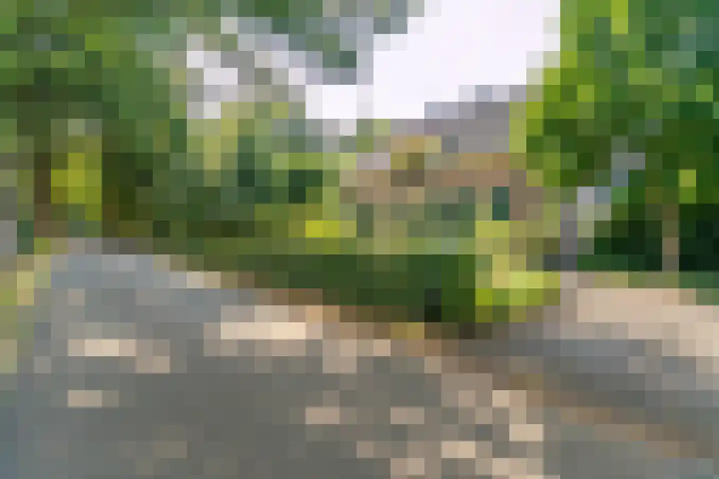 Hullerweg 54 Nunspeet thumbnail 9