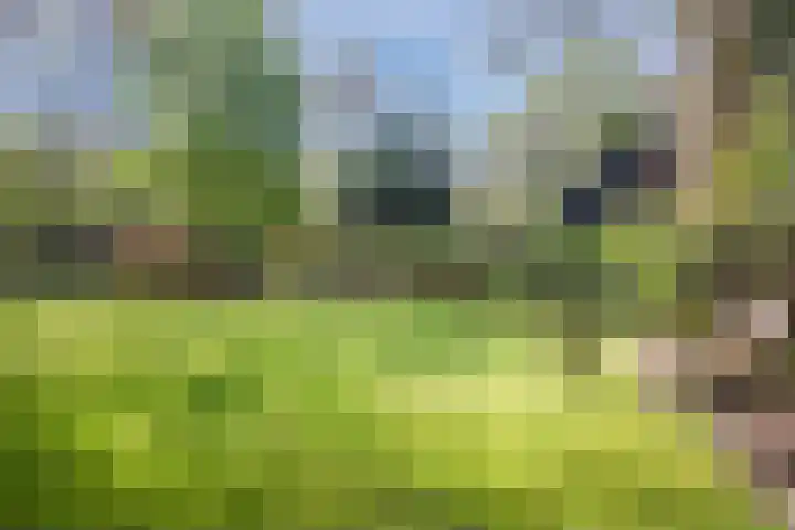 Hulleweg 43 Beekbergen thumbnail 17