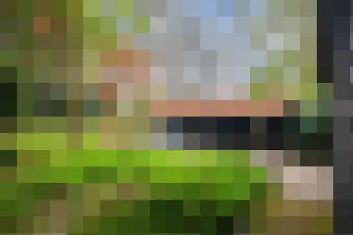 Hulleweg 43 Beekbergen thumbnail 4