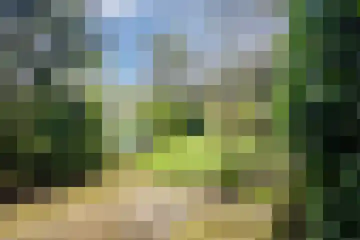 Hulleweg 43 Beekbergen thumbnail 45