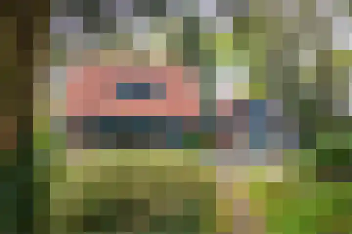 Hulleweg 43 Beekbergen thumbnail 5