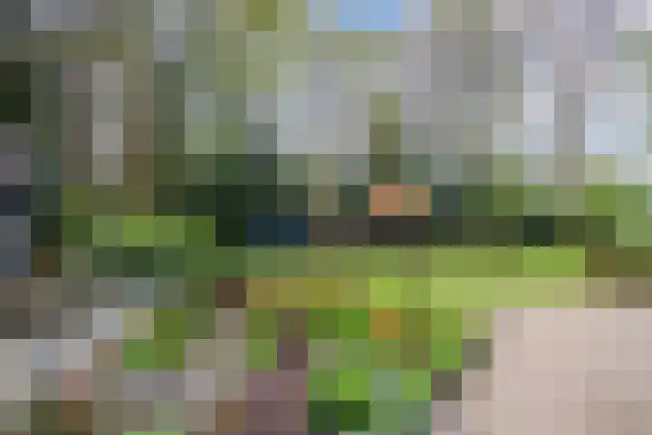 Hulleweg 43 Beekbergen thumbnail 6