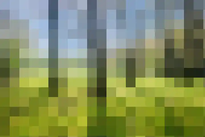 Hulleweg 43 Beekbergen thumbnail 7