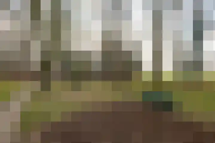 Hulleweg 5 E Doetinchem thumbnail 32