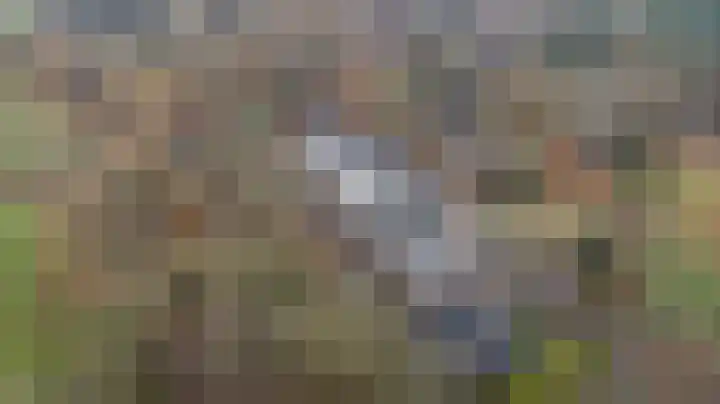 Hulleweg 5 E Doetinchem thumbnail 38