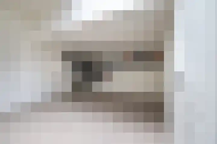 Hulleweg 5 E Doetinchem thumbnail 4