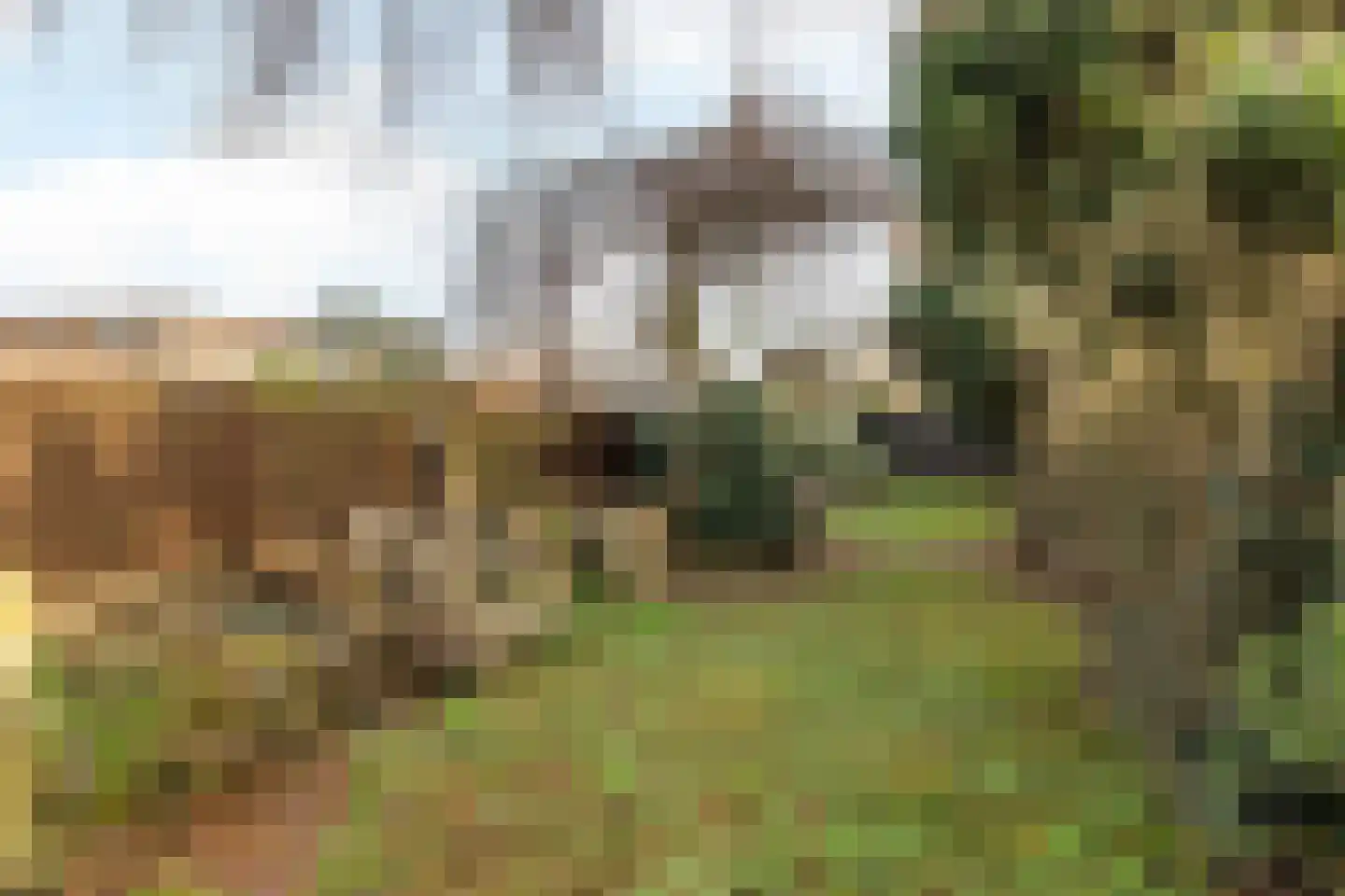 Huls 22 Simpelveld thumbnail 24