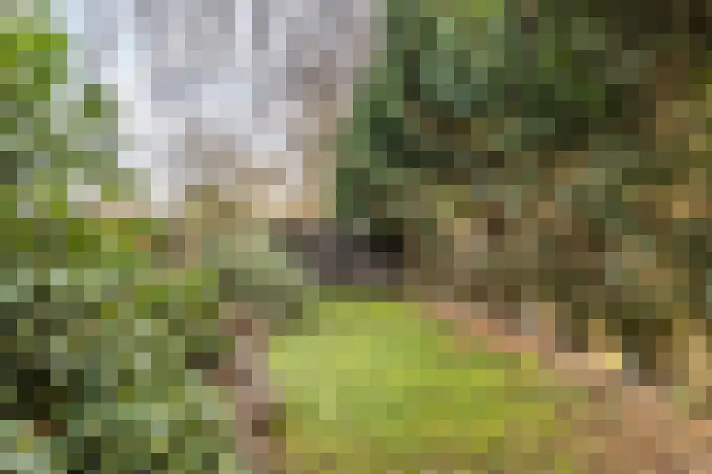 Huls 22 Simpelveld thumbnail 26