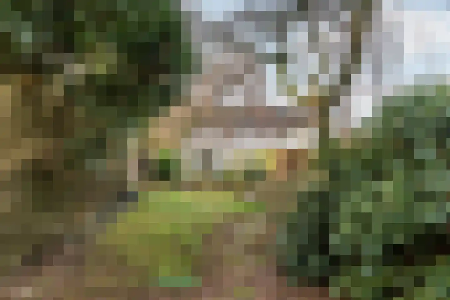 Huls 22 Simpelveld thumbnail 27