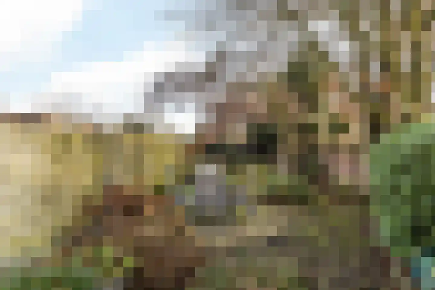Huls 22 Simpelveld thumbnail 28
