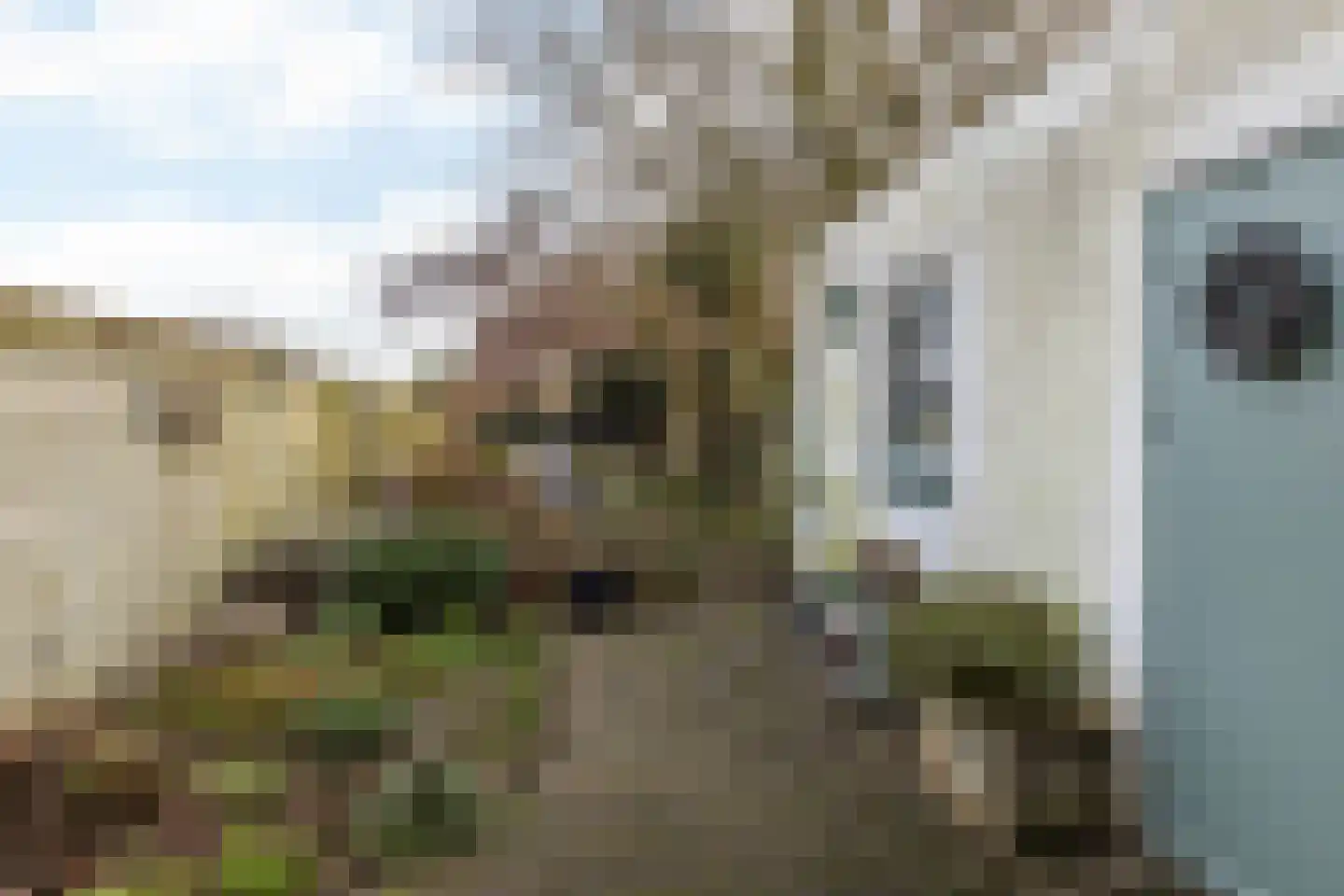 Huls 22 Simpelveld thumbnail 30