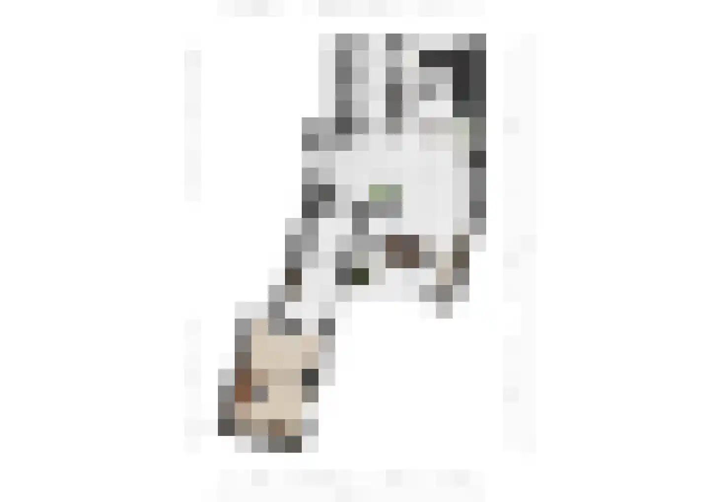 Huls 22 Simpelveld thumbnail 37