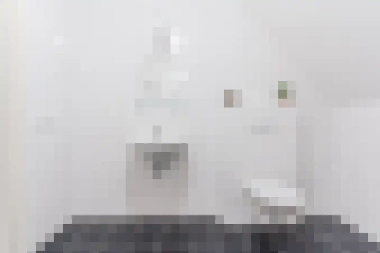 Hulsakker 18 Bergeijk thumbnail 33