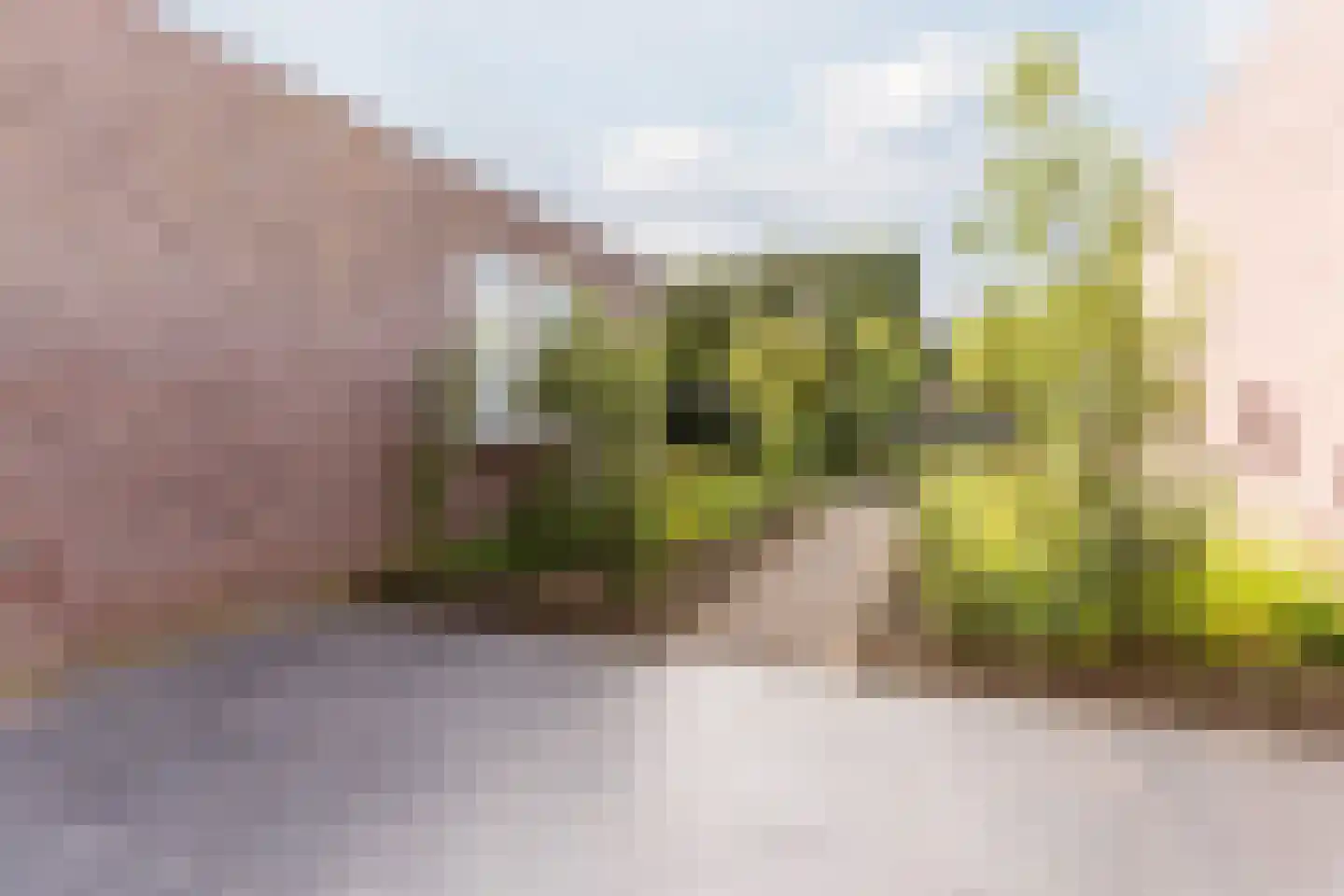 Hulsakker 18 Bergeijk thumbnail 36
