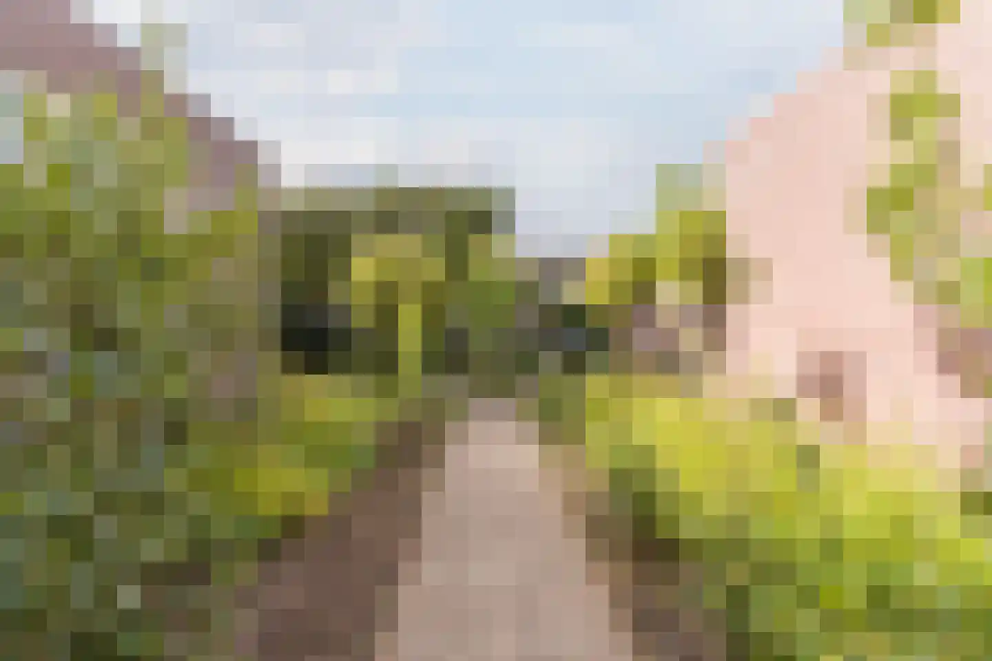 Hulsakker 18 Bergeijk thumbnail 37