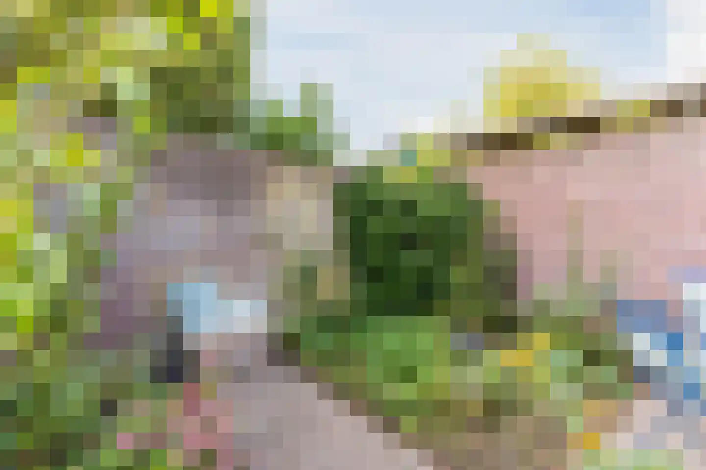 Hulsakker 18 Bergeijk thumbnail 39