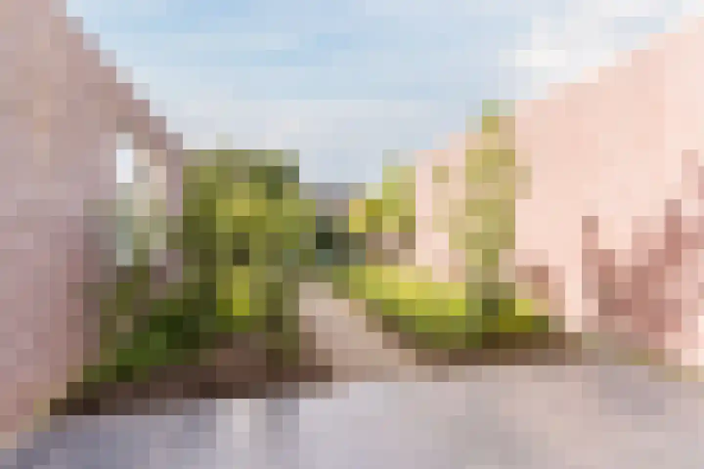 Hulsakker 18 Bergeijk thumbnail 4