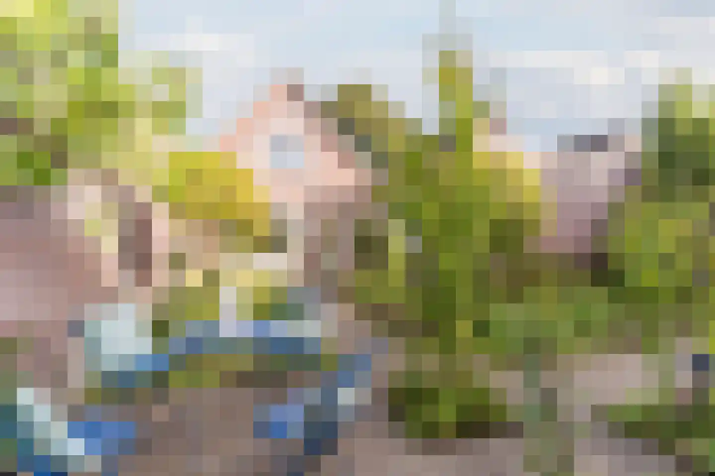 Hulsakker 18 Bergeijk thumbnail 40