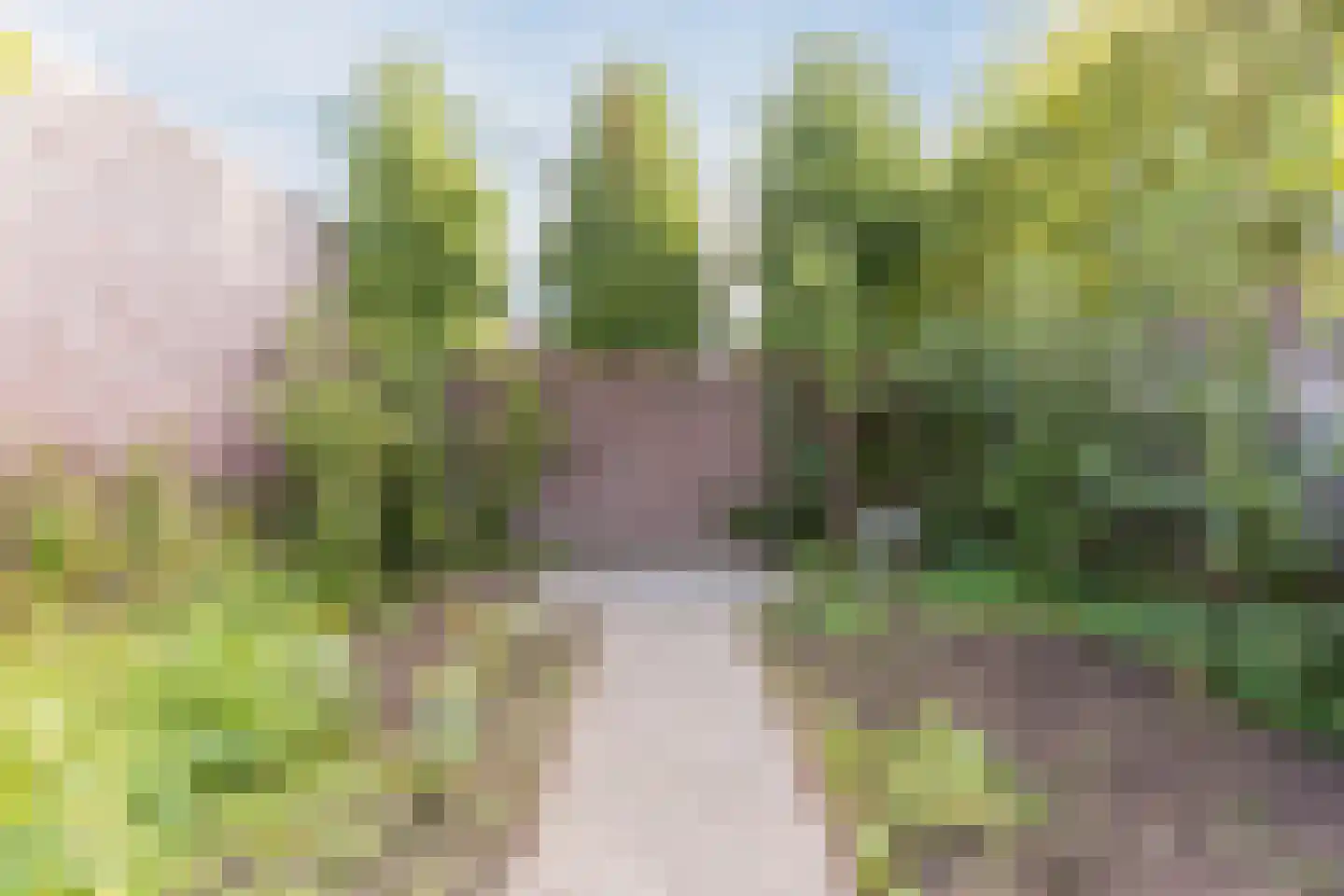 Hulsakker 18 Bergeijk thumbnail 41