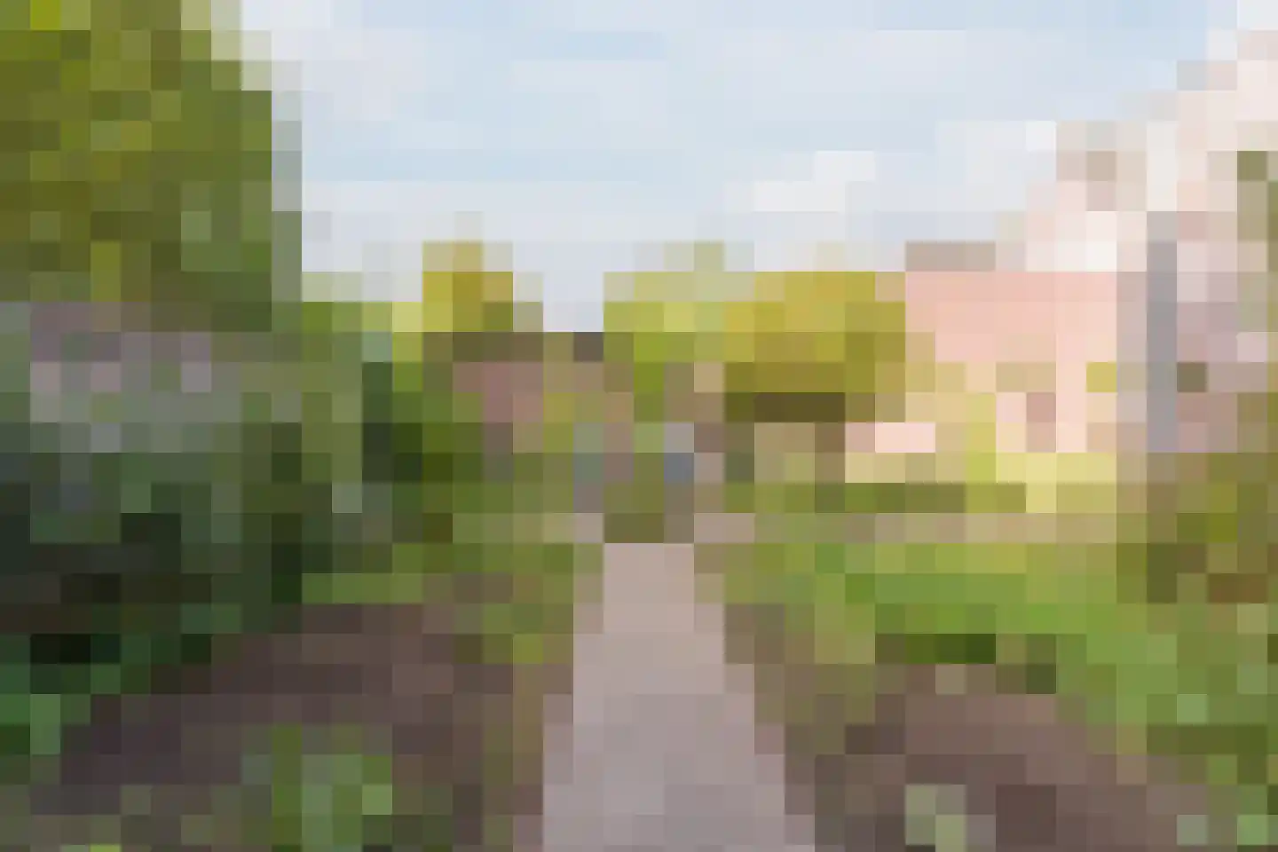 Hulsakker 18 Bergeijk thumbnail 42