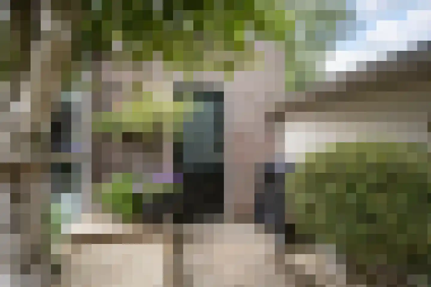 Hulsbeek 1 Ede thumbnail 52