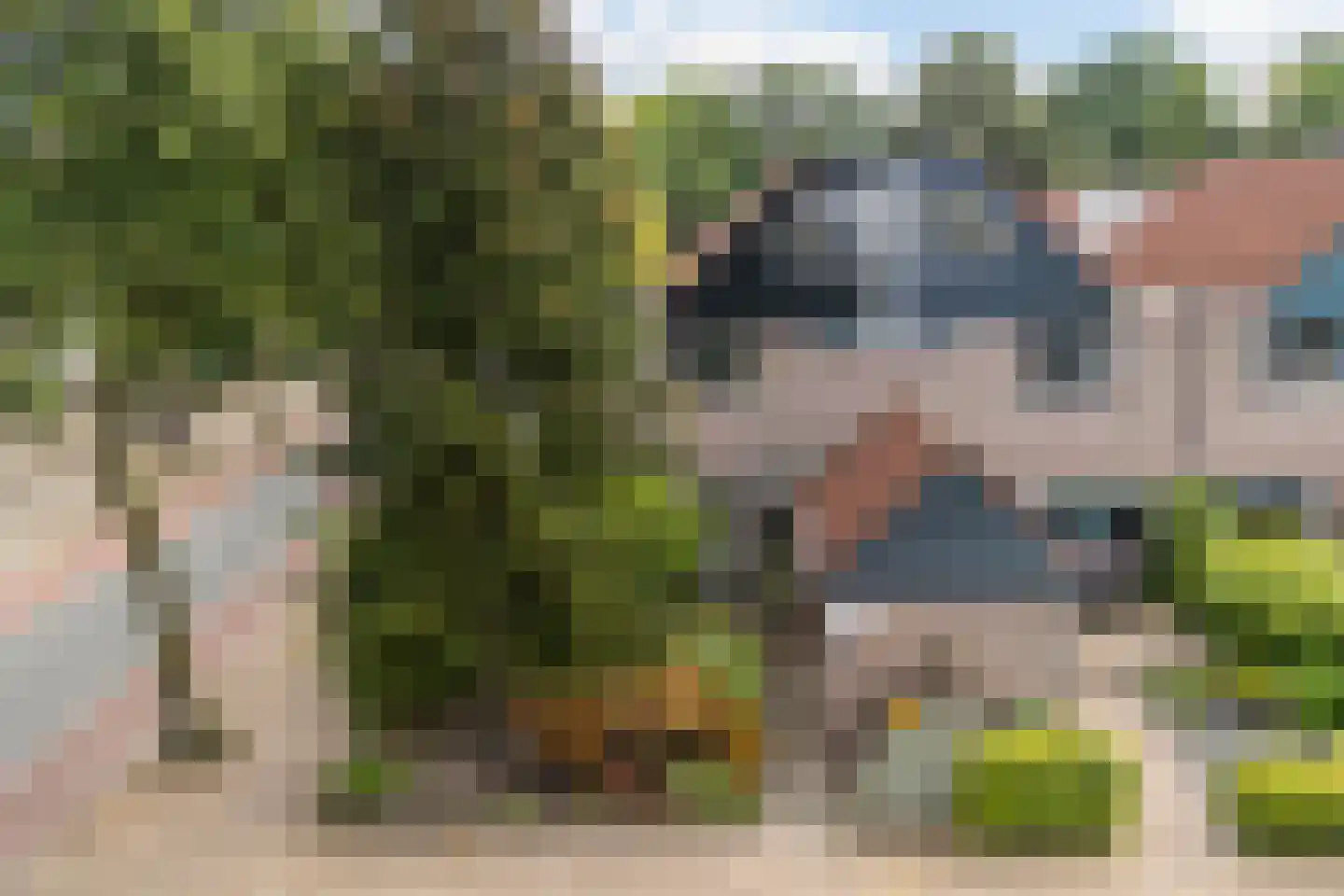 Hulsbeek 1 Ede thumbnail 54