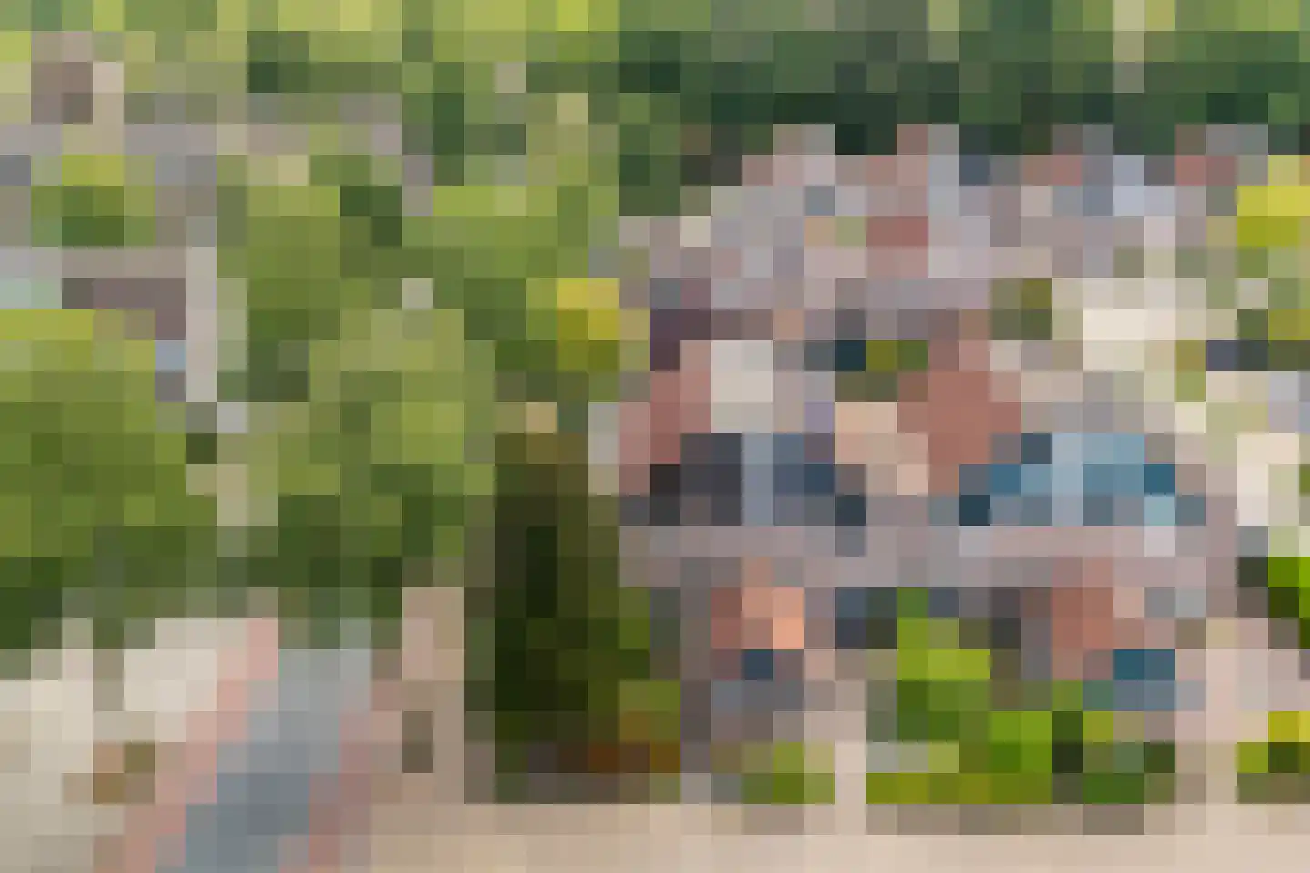 Hulsbeek 1 Ede thumbnail 61