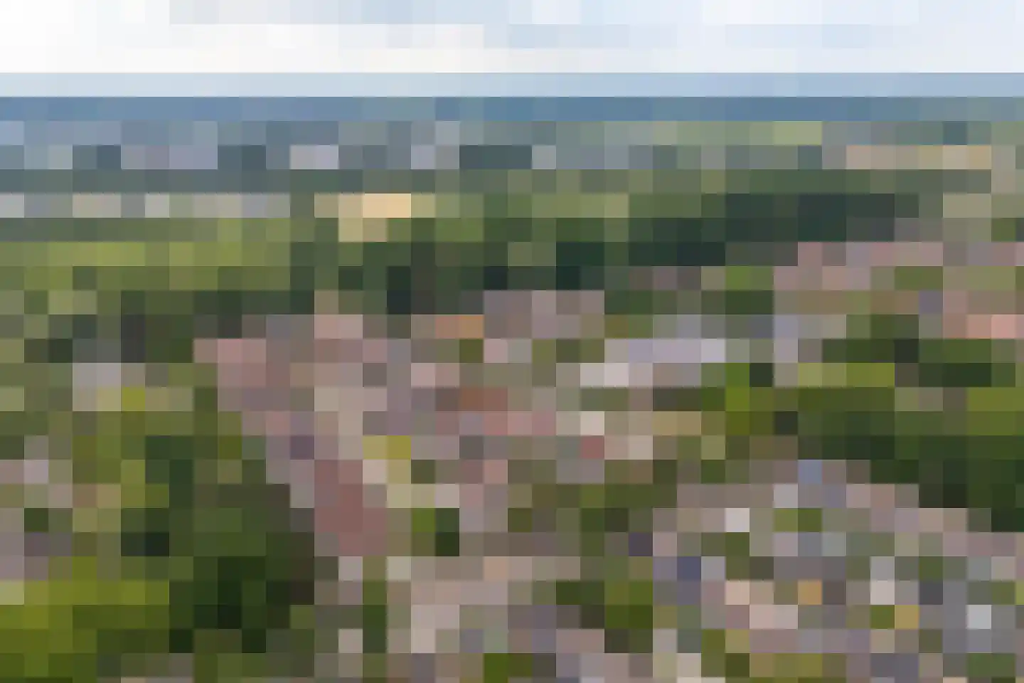 Hulsbeek 1 Ede thumbnail 63