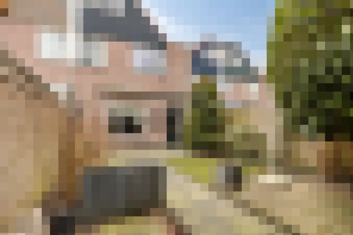 Hulsbeek 38 Ede thumbnail 36