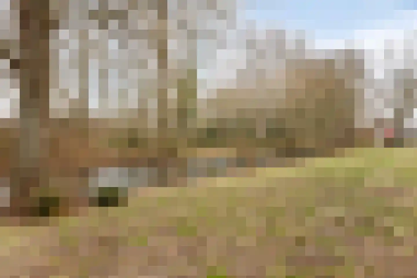 Hulsbeek 38 Ede thumbnail 39