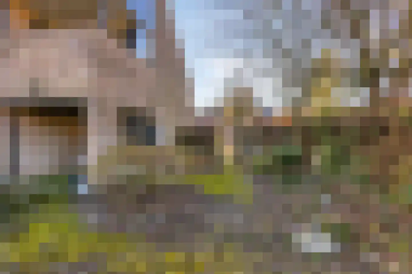 Hulsbekenkamp 48 Oldenzaal thumbnail 33